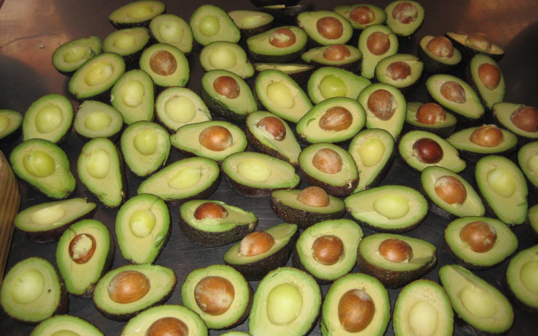 Picking the Perfect Avocado